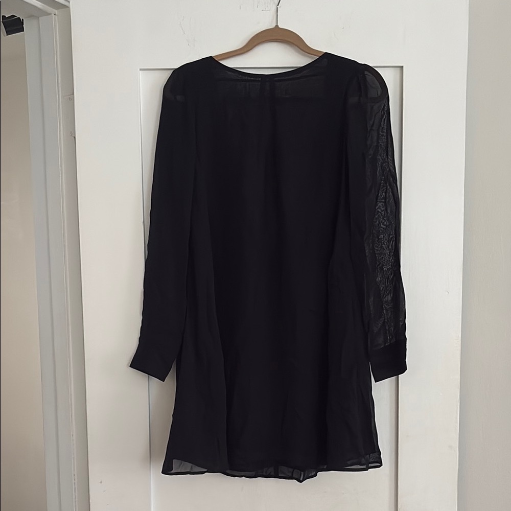 Elegant Black Sheer Long Sleeve Dress